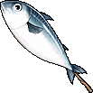 Sub-Zero Sword Mackerel