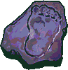 Image:Footprint Fossil.png