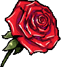 Image:Red Rose of Passion.png