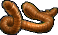 Image:Ground Earthworm.png