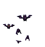 Batty Bats attack