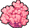 Image:Light Pink Coral.png