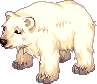 Ancient Polar Bear
