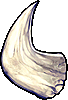 Image:Stoorworm's Horn.png
