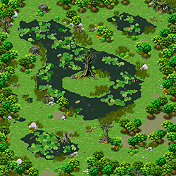Swamp Field 6 - Lake of Illusion