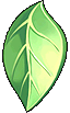 Poppuri Leaf Shield