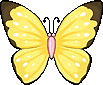Butterfly Shield Form