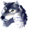 Silverwolf Head