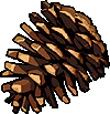 Image:Snow Pine Cone.png