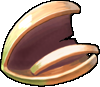 Image:Acorn Shell.png