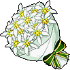 Image:Edelweiss Bouquet.png
