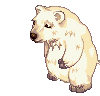Ancient Polar Bear