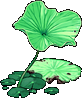 Image:Lotus Leaf.png
