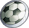 Soccer Shield Form