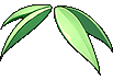 Poppuri Leaves