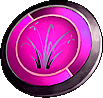 Pink Orchid Shield