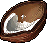 Image:Cocos Nucifera's Shell.png